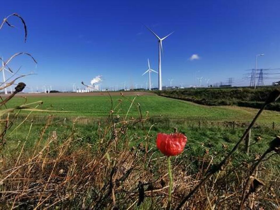 Toekomstige natuur omgeving Oostpolder